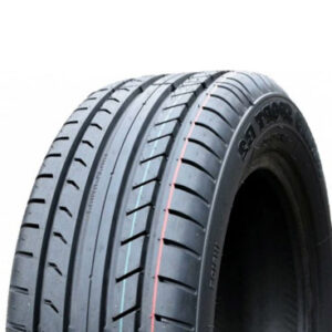 Protektor Gauth-Pneu Primo Sport B2 195/55 R15